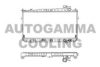 AUTOGAMMA 102122 Radiator, engine cooling